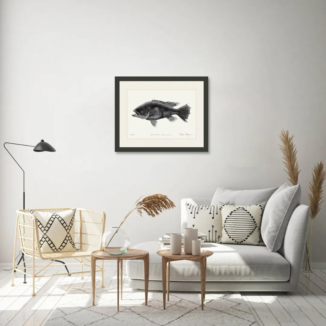 Black Sea Bass Print (b&w)