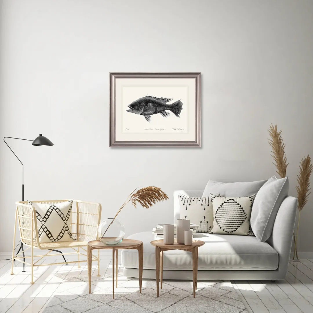 Black Sea Bass Print (b&w)