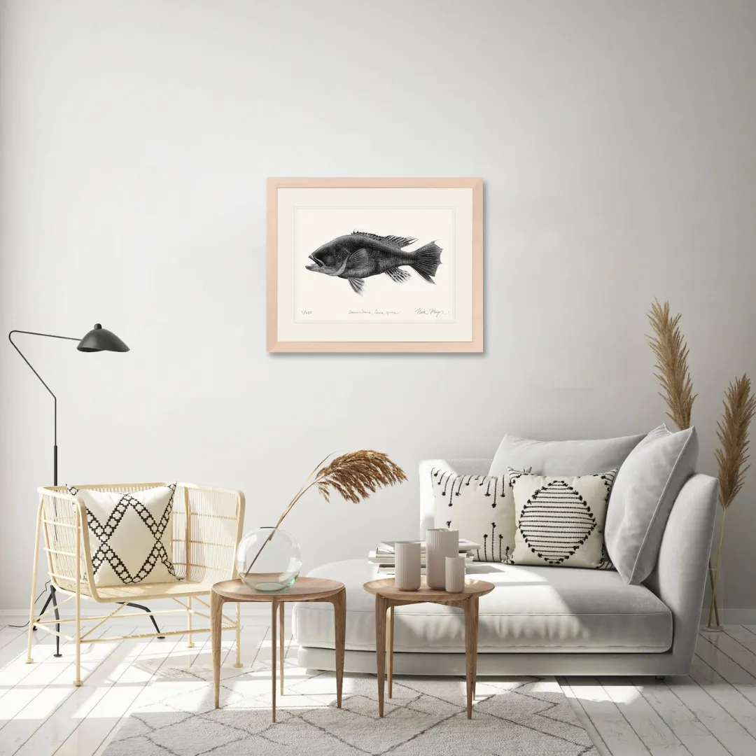 Black Sea Bass Print (b&w)