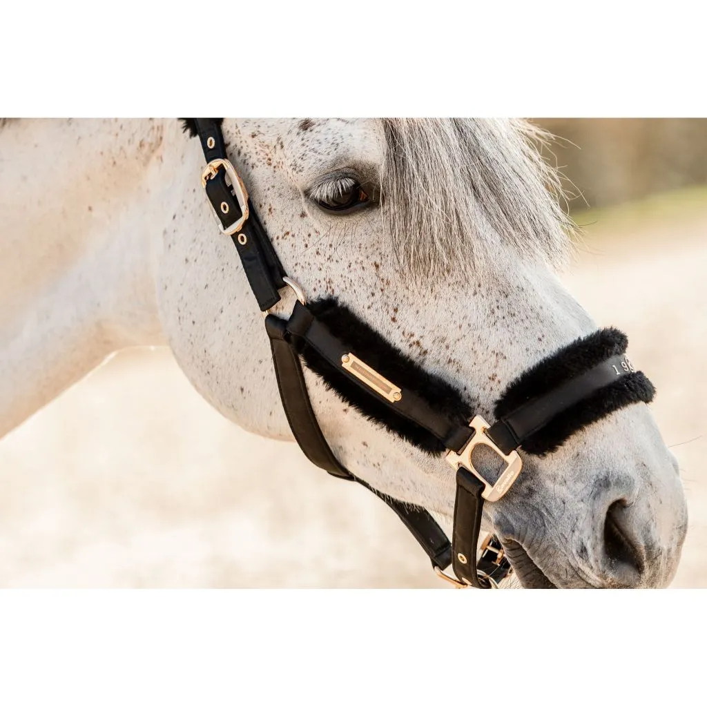 Cavallo Luciele Limited Edition Fleece Lined Halter