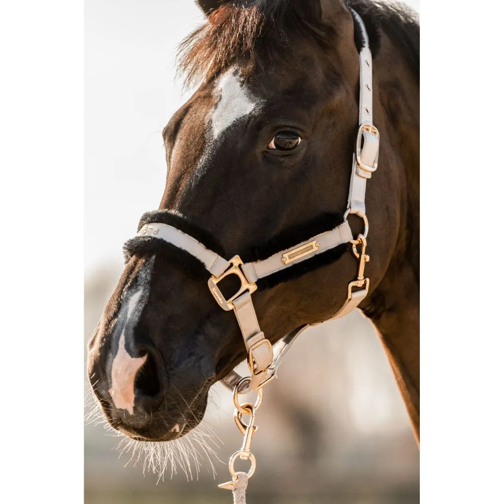 Cavallo Luciele Limited Edition Fleece Lined Halter