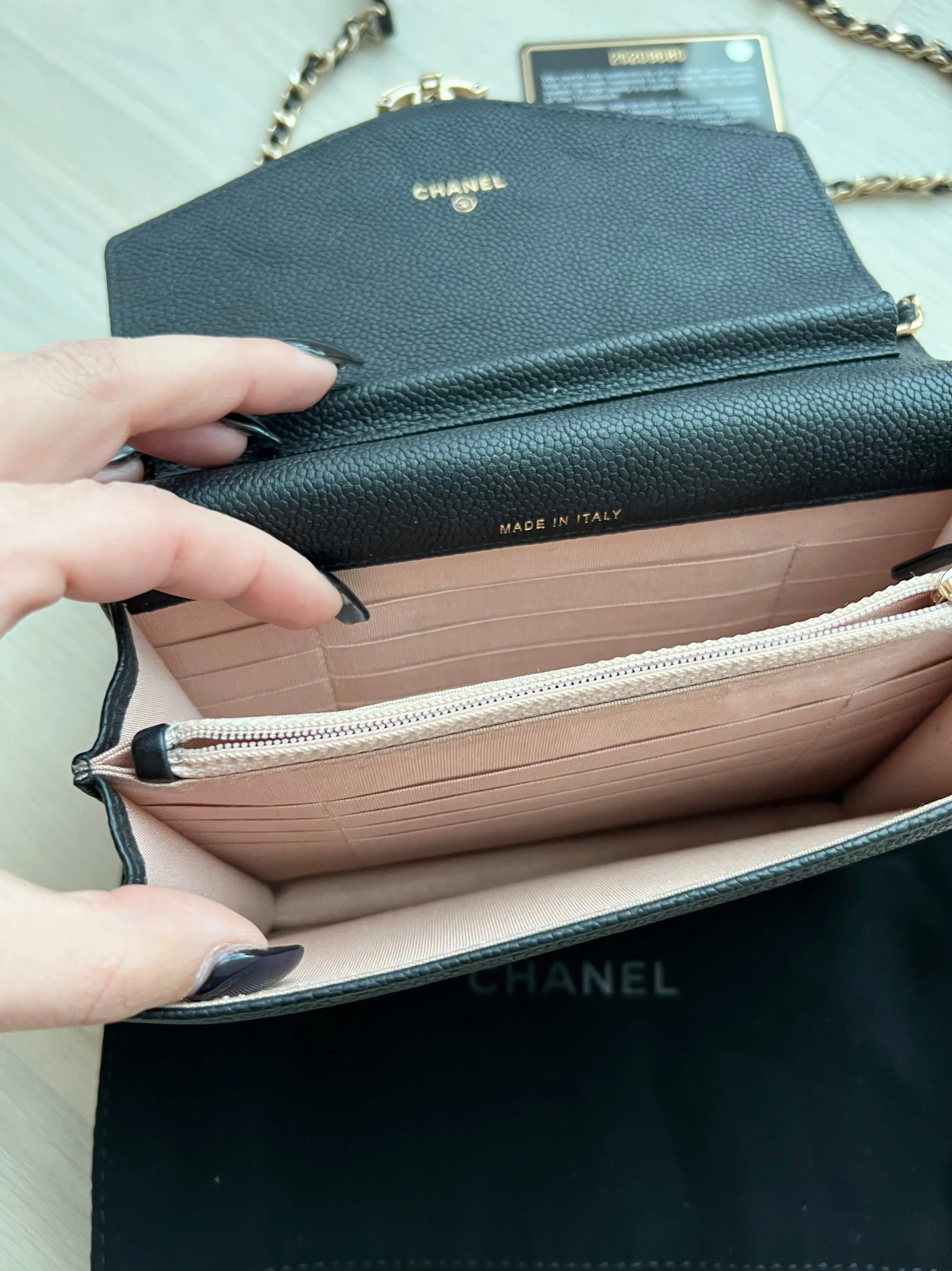 Chanel Seasonal Wallet On Chain Bag