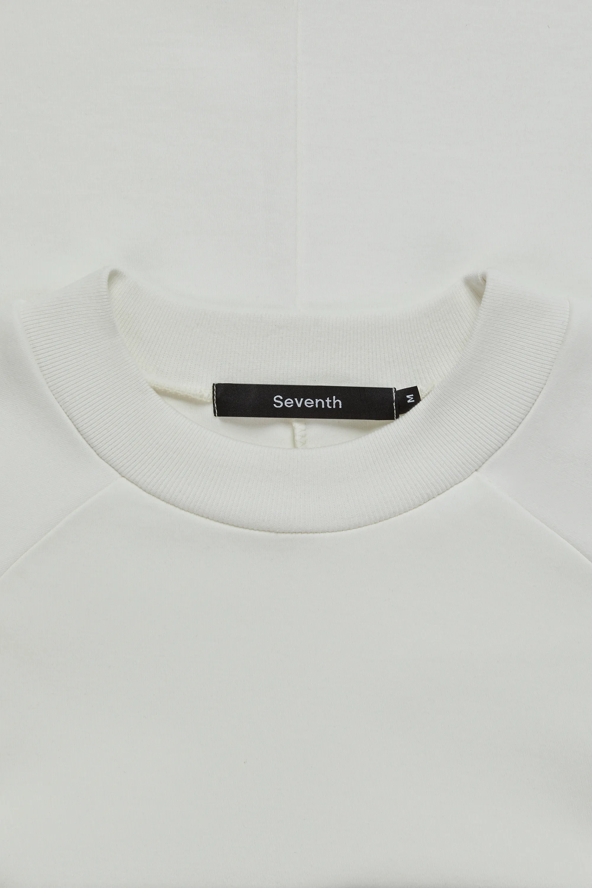 Dove Raglan Box T-Shirt