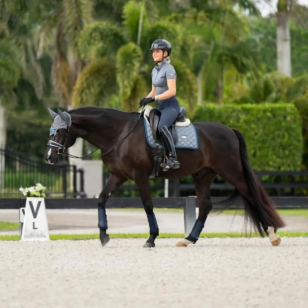 Equestrian Stockholm Dressage Saddle Pad Metallic Blue