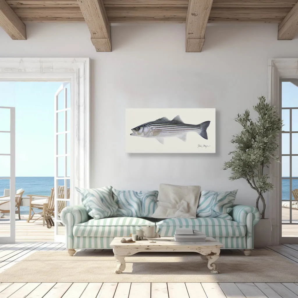 Schoolie Striper Canvas Print