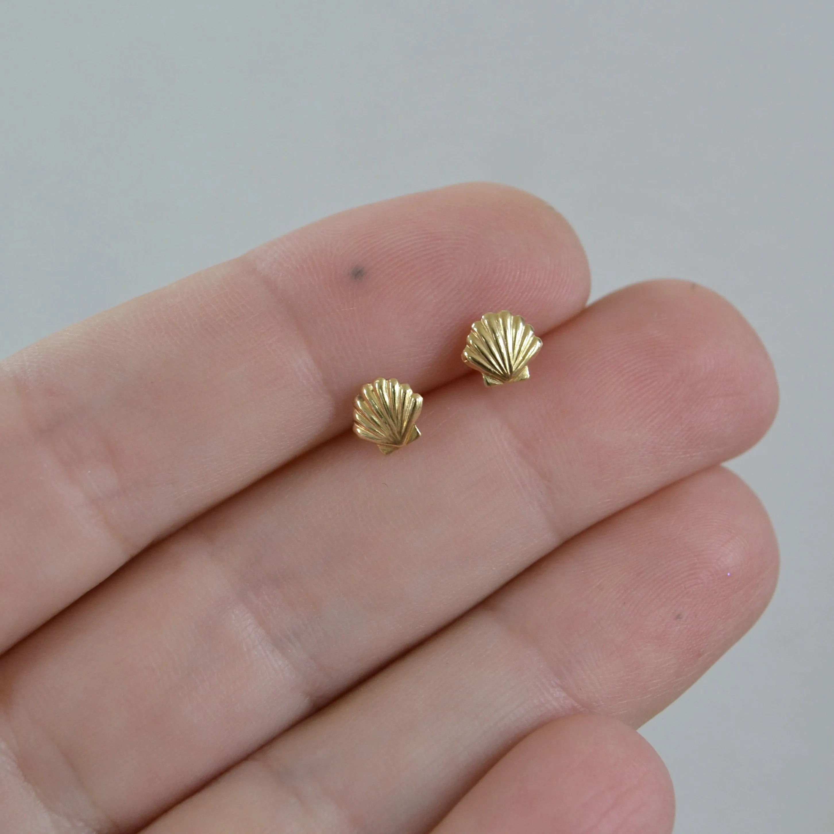 Seashell Stud Earrings