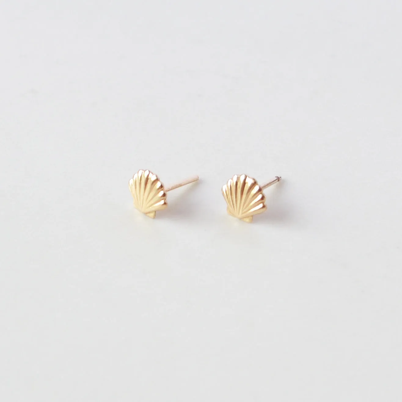 Seashell Stud Earrings